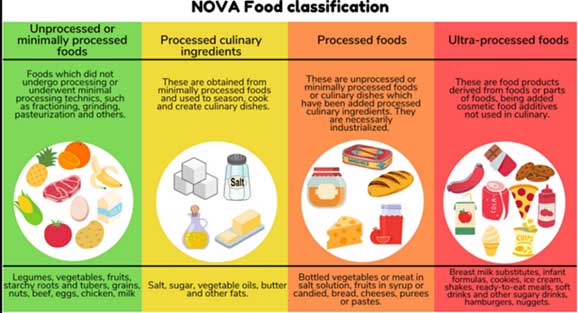 nova-food-classification