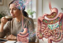 L'assunzione abituale di caffè modella il microbiota intestinale e modifica la fisiologia e le funzioni cognitive dell'ospite.