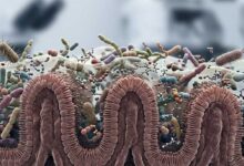Decodificare il dialogo ospite-microbioma con modelli di base biologici