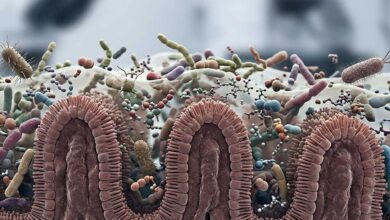 Decodificare il dialogo ospite-microbioma con modelli di base biologici
