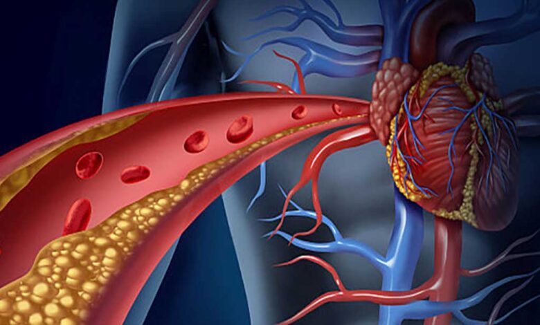 Lipoproteine e apolipoproteine - Patologie genetiche collegate al malfunzionamento del gene APOB