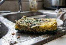 Pericolosità delle spugne da cucina, possibile ricettacolo di germi