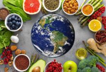 Dieta planetaria e Dieta Mediterranea, due regimi sostenibili a confronto