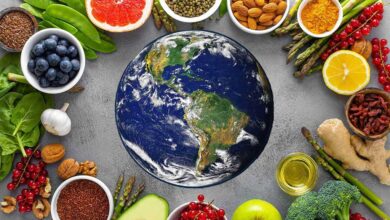 Dieta planetaria e Dieta Mediterranea, due regimi sostenibili a confronto