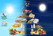 La Piramide della Dieta Mediterranea basata sul cronotipo