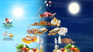 La Piramide della Dieta Mediterranea basata sul cronotipo