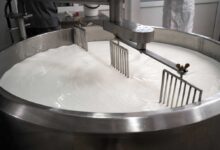 I grassi trans naturalmente presenti nei latticini non sono così dannosi come quelli industriali.