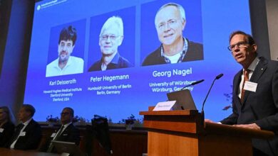 Agli studiosi sull’optogenetica il Premio Nobel per la Medicina 2026